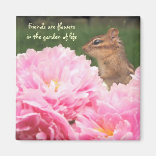 De vrienden zijn Bloemen Citaat Chipmunk Magnet Magneet