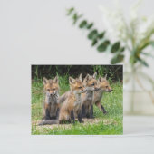 De vrije denker Fox Briefkaart (Staand voorkant)