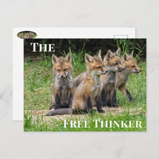 De vrije denker Fox Briefkaart (Voorkant / Achterkant)