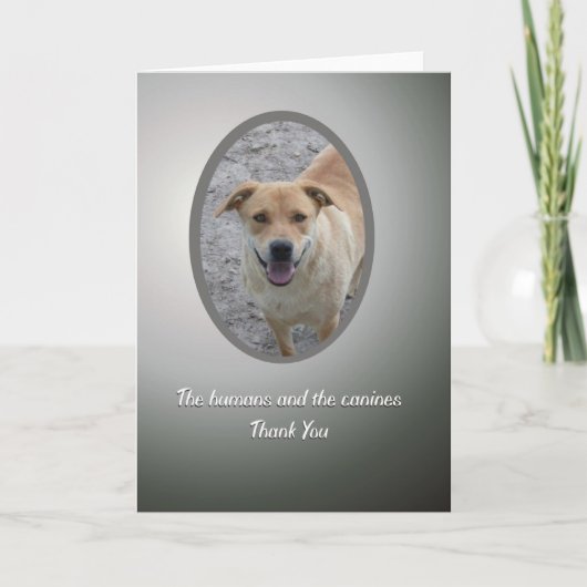 De vrijwilliger dankt u, de Redding van de Hond Bedankkaart (Voorkant)