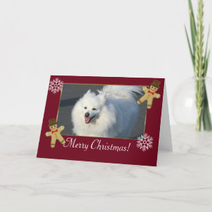 De vrolijke Amerikaanse Eskimohond van Kerstmis Feestdagen Kaart