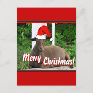 DE VROLIJKE GROETEN VAN DE GEIT VAN KERSTMIS FEESTDAGENKAART