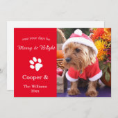 De vrolijke & Heldere Kaart van de Foto van het (Voorkant / Achterkant)