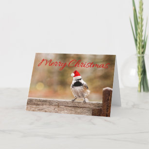 De vrolijke Kaart van Chickadee van de Kerstman