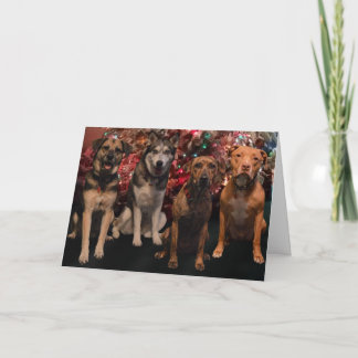 De vrolijke Kaart van de Jongen van Kerstmis