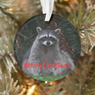 De vrolijke Vakantie van de Wasbeer van Kerstmis Ornament