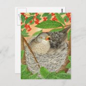 De Vrouw Blackbird Briefkaart (Voorkant / Achterkant)