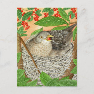 De Vrouw Blackbird Briefkaart