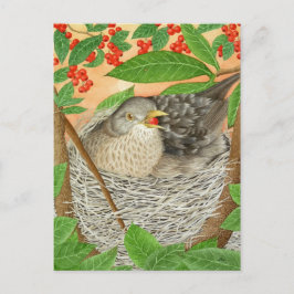 De Vrouw Blackbird Briefkaart