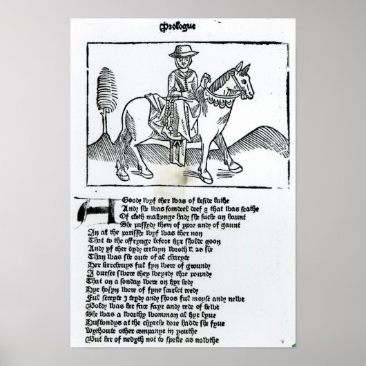 De vrouw van Bath Poster (Voorkant)