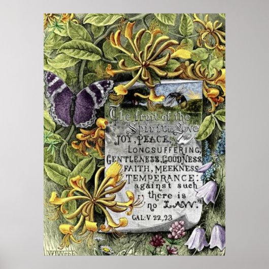 De Vrucht Van De Geest Poster (Voorkant)