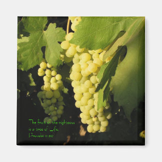 De vrucht van de rechtvaardigen is een boom van... magneet