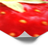 De vruchten van de gedistilleerde drank poster (Hoek)