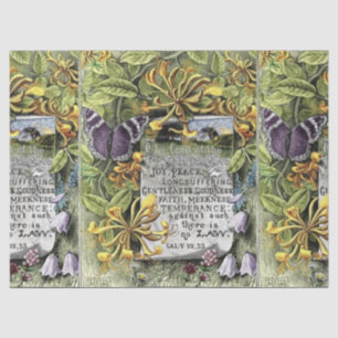 De vruchten van de gedistilleerde drank tissuepapier