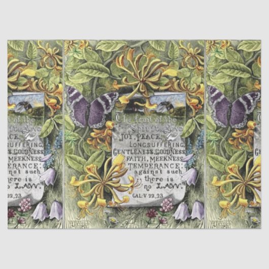 De vruchten van de gedistilleerde drank tissuepapier (Voorkant)