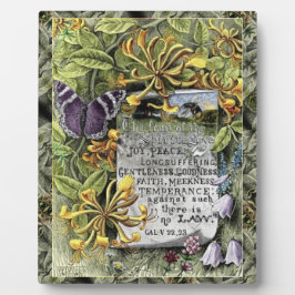 De vruchten van de gedistilleerde Plaque Fotoplaat