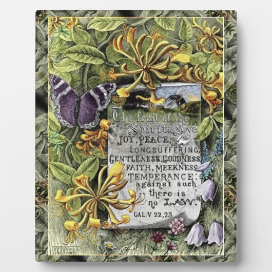 De vruchten van de gedistilleerde Plaque Fotoplaat (Voorkant)