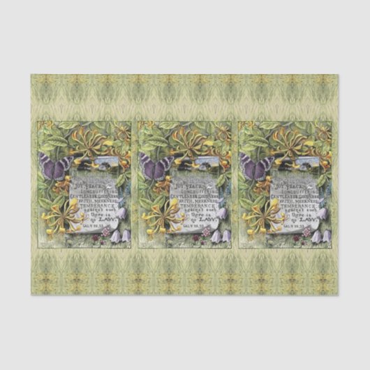 De vruchten van het gedistilleerde weefselpapier tissuepapier (Voorkant)