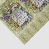 De vruchten van het gedistilleerde weefselpapier tissuepapier (Detail)