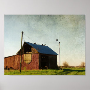 De Vultures en de Barn Poster