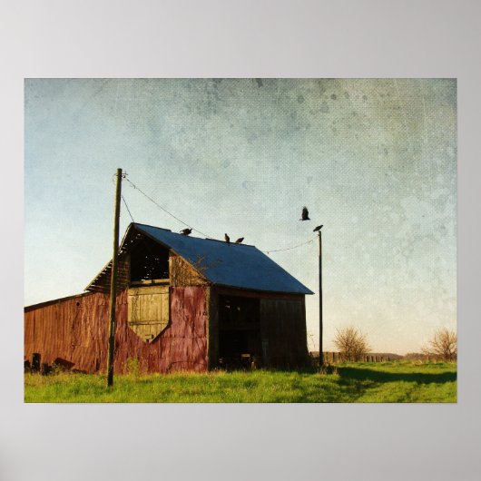De Vultures en de Barn Poster (Voorkant)