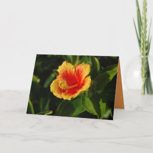 De vurige Kaart van de Verjaardag van de Hibiscus