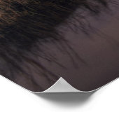 De vuurtoren van het eiland Bodie op Sunset Poster (Hoek)