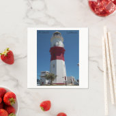 De vuurtoren van St. David, Bermuda Servet (Insitu)