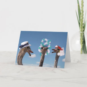 De waanzinnige Dag van het Pet in Races Kaart