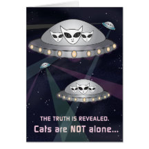 De waarheid is aan het licht gekomen: katten zijn