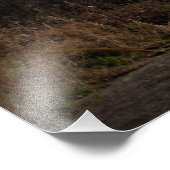 "De waarheid is hier" Foto Afdruk (Hoek)