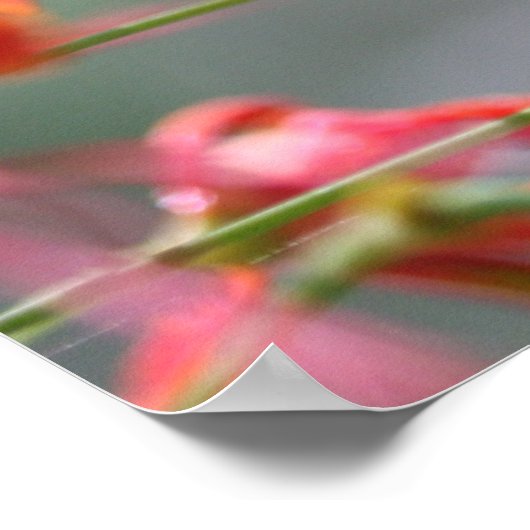 De waarheid zal u vrij Poster, Versie C Poster (Hoek)