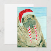 De Walrussen van Kerstmis Feestdagenkaart (Voorkant / Achterkant)