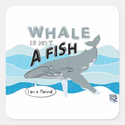 De walvis is geen vis vierkante sticker (Voorkant)
