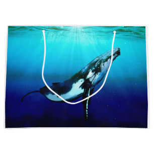 De Walvis van de gebochelde Groot Cadeauzakje