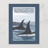 De Walvissen van de orka #1 - Anacortes,