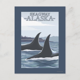 De Walvissen van de orka #1 - Skagway, Alaska Briefkaart