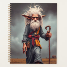 De Wandering Elf Wizard