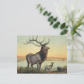 De Wapiti Deer van Joseph Wolf Briefkaart (Staand voorkant)