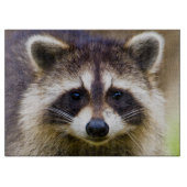 De wasbeer, Procyon lotor Snijplank (Voorkant)