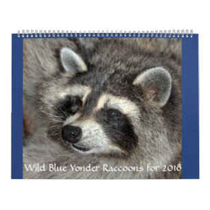 De Wasberen van Wild Blue Yonder van 2018 Kalender