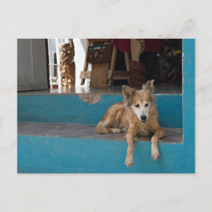 De Watchdog. Briefkaart