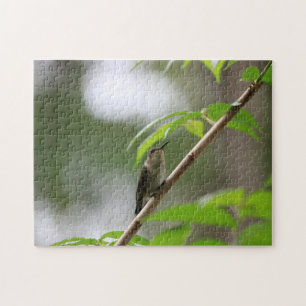 De Watcher Hummingbird Family Fun Puzzle Legpuzzel