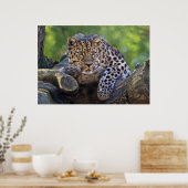 De Watcher Print (Keuken)