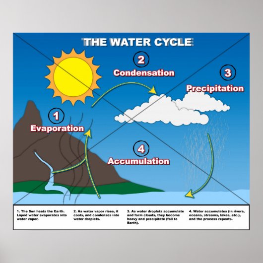 De watercyclus poster (Voorkant)