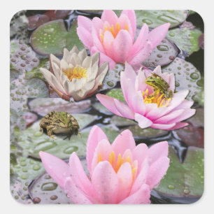 De Waterlelievijver Vierkante Sticker
