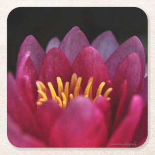 De waterLily Vierkante Kartonnen Onderzetter