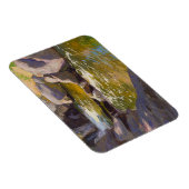 De waterval magneet (Rechterzijde)