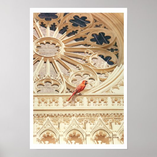 De Waterverf van de Kardinale Kerk en de Vogel Poster (Voorkant)