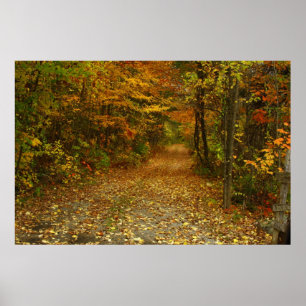 De weg minder gereisd poster